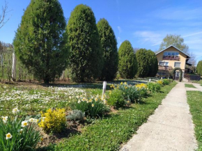 Apartmani Vukanac